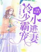 全球追妻令：冷少霸寵小逃妻