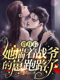 借住後，她揣着戰爺的崽跑路了